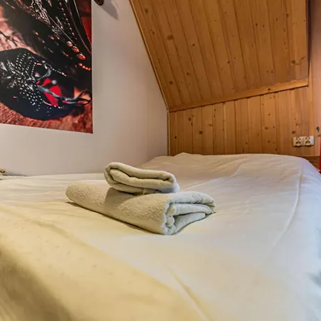 Baja 2 Guest house *